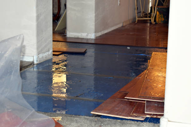 Professional Sewage Cleanup technician working in Clinton, IA